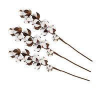 Tiges de Coton Naturel Kapok Fleur Séchée Artificielle Faite à la Main en Coton Doux Bolls Décoration Longue Durée pour la Fête de Mariage Décor à la Maison 60cm 10 Bolls 3pcs