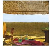 Tiges de roseaux naturels Reedcane - Dimensions : 1 x 5 m