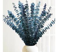 Tiges d'eucalyptus séchées préservées de 40,6 à 43,2 cm, plantes d'eucalyptus naturelles bleu-vert vivantes, véritables branches d'eucalyptus pour douche, spa, fleurs séchées bleues pour remplissage