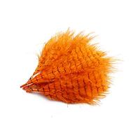 Tigofly 80 pièces/lot 8 couleurs Barred Printed Dinde, Marabout et plumes de sang, banderoles, serpentins en laine (orange)