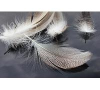 Tigofly Lot de 30 plumes naturelles en flanc de canard, poils d'oie sauvage, ailes, serpentins, matériaux pour la fixation de mouches