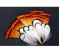 Tigofly Lot de 50 plumes de faisan blanches dorées et naturelles (assorties)