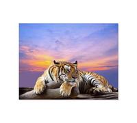 Tigre attentif，1000 Pièces Puzzle pour Adultes Enfants Adolescents, Intelligence Soulagement du Stress Divertissement Papier Jouets Bricolage Anniversaire（38x26cm）-B79