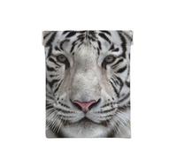 Tigre Blanc d'hiver, Sac de Rangement pour Femmes, Portefeuille supérieur à Presser, Petit Porte-Monnaie, Pochette de Changement