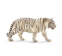 Tigre blanc mâle