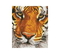 Kit de peinture au diamant, Bengal Magic