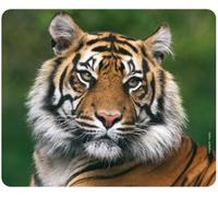 Tigre Mouse Mat (24 X 19 Cm) Made Of Special Rubber Extremely Tear-Resistant With A Strong Adhesive Underside For Optimum Hold By