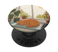 Tigre orange endormi dans une fenêtre ensoleillée PopSockets PopGrip Adhésif