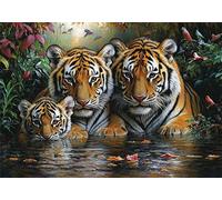 Tigre Puzzle 500 Pieces Adultes Forêt Puzzles Classiques Panorama Bois Difficile Impossible Geant Jigsaw Jeu éducatif Défi Jouet pour Enfants et Adulte dès 14 Ans Cadeau Homme Femme Boxed P-952