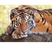 Piccolia Puzzle photo Tigre 48 pièces