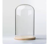 TIHONORI Présentoir dôme Cloche en Verre de 20 cm de diamètre avec Socle en Bois Massif pour l'exposition de Plantes, Ornements, Figurines,20 * 30cm