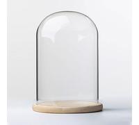 TIHONORI Présentoir dôme Cloche en Verre de 20 cm de diamètre avec Socle en Bois Massif pour l'exposition de Plantes, Ornements, Figurines,20 * 25cm