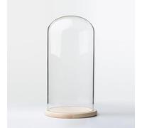 TIHONORI Présentoir dôme Cloche en Verre de 8 cm de diamètre avec Socle en Bois Massif pour l'exposition de Plantes, Ornements, Figurines,8 * 12cm