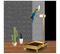 Tiiiopkvvv Étagère de luxe en acier inoxydable pour perroquet à sept formes - Support relevable pour perroquet de grande et moyenne taille avec frein - Étagère à oiseaux - Fournitures pour oiseaux