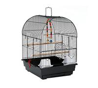 Tiiiopkvvv Petite cage à oiseaux en métal robuste pour perroquet, perruche, avec 2 perchoirs, 2 gobelets de nourriture, 1 perchoir pour oiseaux