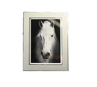 Tiiiopkvvv Photo e Aluminium Photo e Mural Photo e Ornements de Bureau Décoration de la Maison Image e Images (Taille : A (12,7 x 17,8 cm)) ()