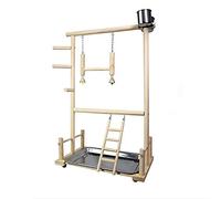 Tiiiopkvvv Support pour perroquet en acier inoxydable pour dressage d'oiseaux vivants - Fournitures de jeu pour petits oiseaux - Balançoire pour perruches, pinsons, oiseaux (laiton)