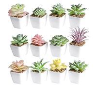Tiita Lot de 12 Plantes succulentes artificielles en Pots en céramique pour Maison, Bureau, Rebord de fenêtre, Salle de Bain, Chambre à Coucher, extérieur et intérieur