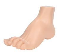 TIKATARER Modèle de Pied Anatomie, Modèle de Pied Humain de Humain Squelettique Adultes Adultes Vies Enseigne de la Recherche sur l'enseignement Affichage Musculaire Expliquer les Accessoires (Pied