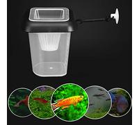 TIKATARER Plat d'alimentation des Crevettes, Aquarium Entonnoir en Plastique Entonnoir de Poisson Tube d'alimentation de Poisson Live Red Fish Ficheur avec Une Mangeoire à Succion pour Les