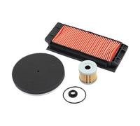 TILIEINE Filtre à Air Filtre à air et à Huile Convient pour ZONTES ZT150D ZT150M 150D 150M(1set)