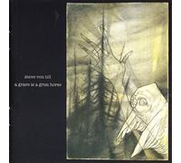 A grave is a grim horse