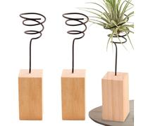 Tillandsia Support décoratif pour aériennes en 3 parties, support de présentation pour vivantes, pour la maison, le bureau, l'intérieur, le jardin, la décoration des