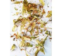 Tilleul de Grèce - Le Monopati - Infusion de Fleurs Séchées Grand Format 250g (2x125g) - Tisane Traditionnelle Méditerranéenne