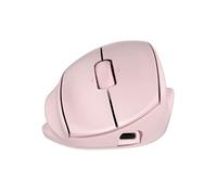 HP Souris ergonomique Tilt 720M Rose EURO BH7N4AA#ABB
