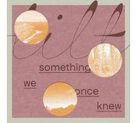 Tilt - Something We Once Knew