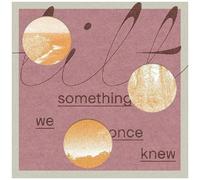 Tilt - Something We Once Knew [Vinyl Lp] Digital Download
