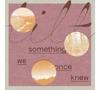 Tilt - Something We Once Knew [Vinyl Lp] Digital Download