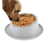 Tilted Pet Bowls for Dogs, Non-Slip Raised Feeding Bowls, Made of Durable Stainless Steel and PP, Ideal Pets Feeder for Cats and Dogs, Microwave Safe for Home and Cage Use, 8.66x3.35 inches