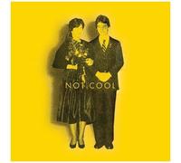 Tim Easton - Not Cool [Vinyl Lp]