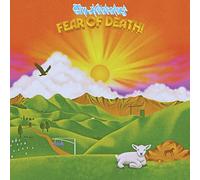 Tim Heidecker - Fear of Death [Import]