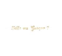 TIM & PUCE FACTORY - Guirlande Lettres Fille OU GARÇON Gender Reveal Or