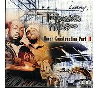 Timbaland & Magoo - under construction part ii LP