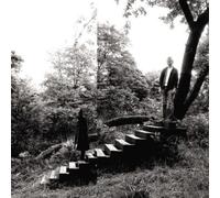 Timber Timbre