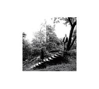 Timber timbre Vinyle