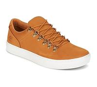 Timberland Baskets basses ADV 2.0 CUPSOLE ALPINE OX in Marron 46