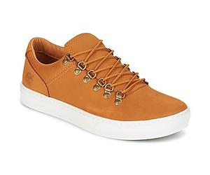 Timberland Baskets basses ADV 2.0 CUPSOLE ALPINE OX in Marron 46