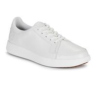 Timberland Baskets basses EMERSON STREET in Blanc 42
