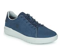Chaussures Timberland Seneca Bay Oxford bleu - 41