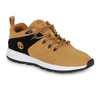 Timberland Baskets basses SPRINT TREKR LOW KNIT in Marron 42