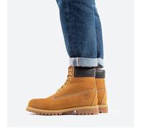 Timberland Classic Premium 6-In 10061 - Miel / Marron - 44 1/2