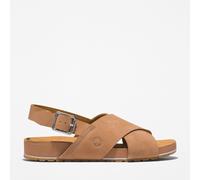 Timberland Graydon Basic Low Lace Up Sneaker 0A41 EUR 41,5