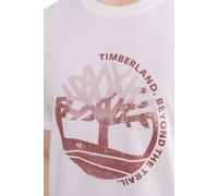 TIMBERLAND - Men's regular T-shirt with graphic print