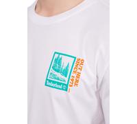 TIMBERLAND - Men's relaxed T-shirt with colorblock print