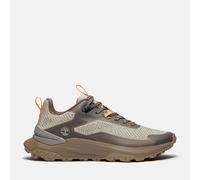 Timberland - Motion Access Low - Chaussures trail homme Natural Knit - 44