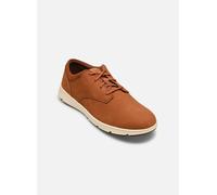 Timberland PARKER STREET LOW LACE UP SNEAKER pour 40 Marron